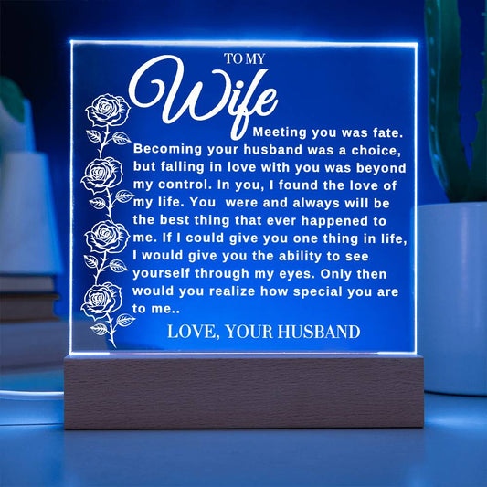 Husband to Wife "Meeting You Was Fate" Night Light